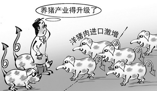 中國(guó)：三分之二的進(jìn)口豬肉仍來(lái)自歐盟