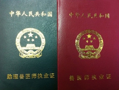 執(zhí)業(yè)獸醫(yī)將成為畜牧行業(yè)職場(chǎng)新貴