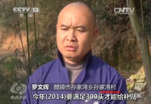 央視再曝補(bǔ)貼黑幕：咱養(yǎng)豬人拿補(bǔ)貼咋那么難？