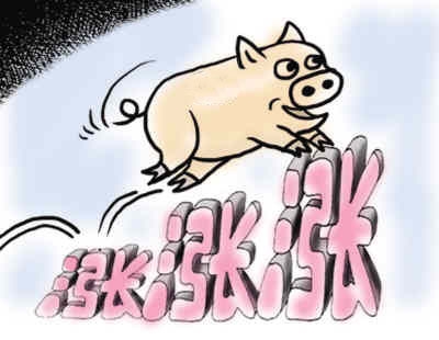 2015豬價(jià)無憂 再漲300元？有可能