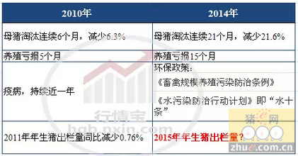 母豬.png