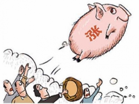 欄里有豬就是幸福的！預(yù)測(cè)國(guó)慶后將達(dá)到本輪最高點(diǎn)!
