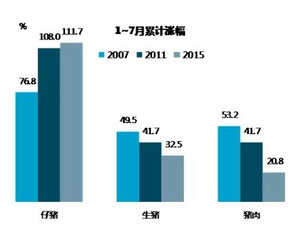 今年豬價上漲更像獨立事件 僅由供給決定