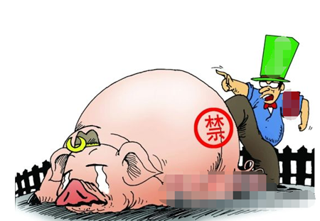 禁止養(yǎng)豬1_副本.png