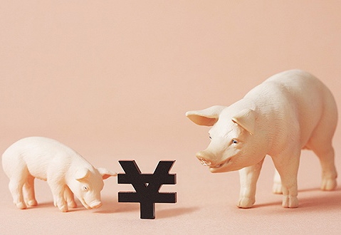 全國養(yǎng)豬百強(qiáng)縣：五大指標(biāo)衡量 缺一不可