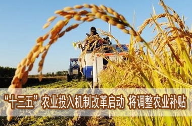 2016年中央將對(duì)農(nóng)業(yè)補(bǔ)貼政策進(jìn)行重大改革