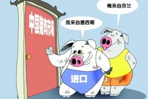 2015年山東口岸進(jìn)口豬肉5.5萬(wàn)噸 價(jià)值7.2億