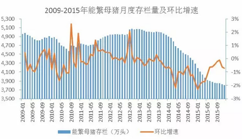 數(shù)字背后：2015年我國(guó)生豬出欄70825萬(wàn)頭意味著什么？