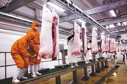 飼料、養(yǎng)豬、收購、屠宰…… 到底誰賺得多？