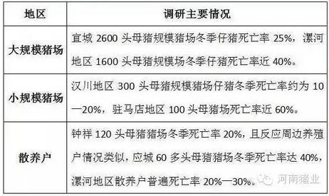 豬1.jpg