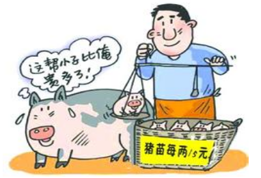 小豬淡季為何“牛氣沖天”