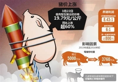 進(jìn)口豬肉便宜一半 國(guó)產(chǎn)豬肉還能飛多久？