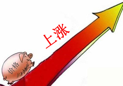 豬源是有多緊張？跟著央視看一個(gè)豬販的艱難收豬路