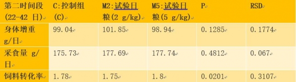 55.jpg