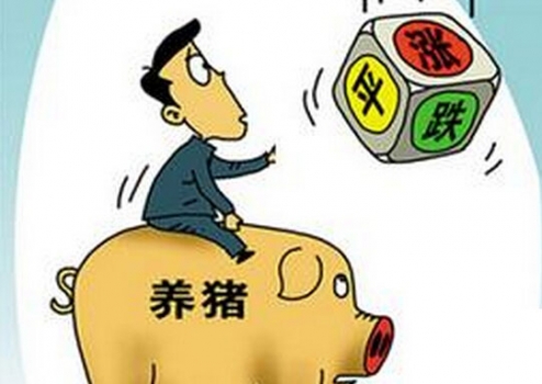 央視：6月了，豬價還能繼續(xù)漲嗎？