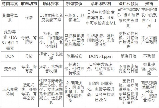 霉33.jpg