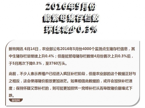 能繁母豬存欄數(shù)未升反降至3760萬頭，高豬價或能維持更久