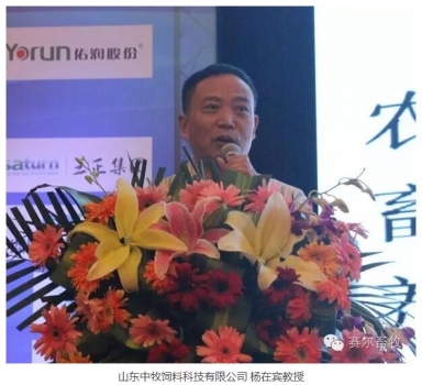 楊在賓教授---豬常規(guī)營養(yǎng)素認識與其功能性的再認識