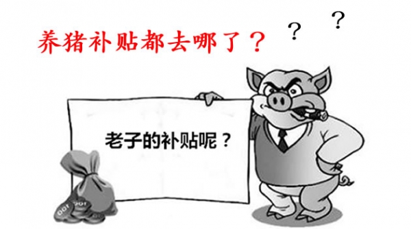 養(yǎng)豬補貼被誰領(lǐng)了？