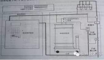 飼料1.jpg