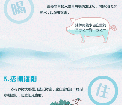 1468209116789_06.gif