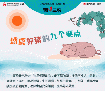一張圖告訴你盛夏養(yǎng)豬的九個要點