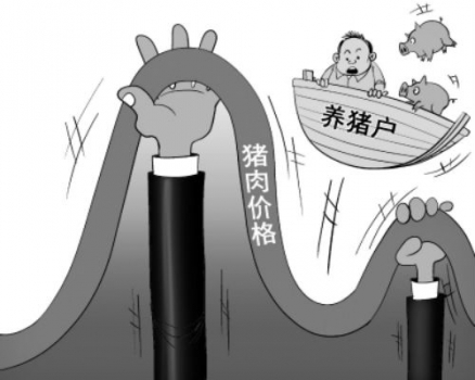 豬價已經接近谷底 還會繼續(xù)下跌嗎？