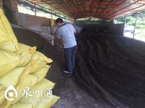 把豬喝的水帶回家飲用 豬圈不沖洗臭味卻少