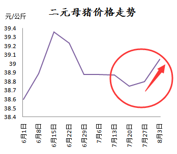 二元母豬仍在漲，這是后期仍要看好的節(jié)奏？