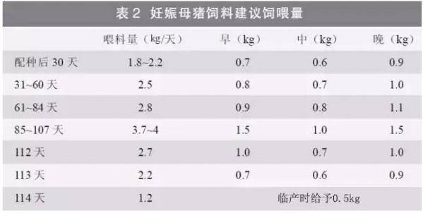 提升母豬年生產(chǎn)力的6大關(guān)鍵措施，想多生就得這么干