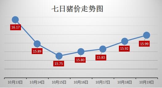 豬21.jpg