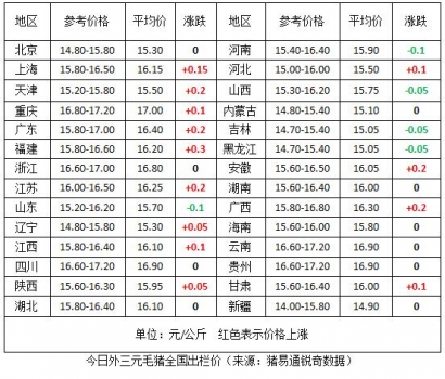 豬23.jpg