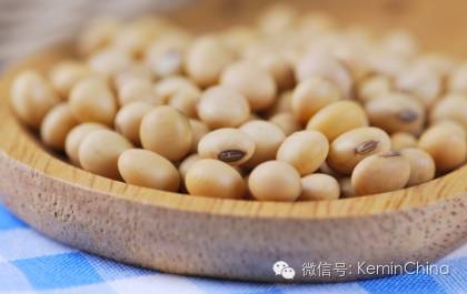 豆油與棕櫚油、牛油、白脂膏和其它脂肪的對(duì)比