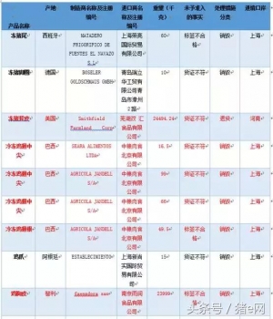 雙1.jpg