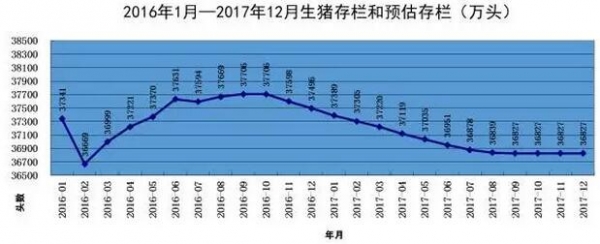 豬3.jpg