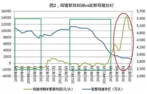 母豬存欄：禁養(yǎng)政策和新建項(xiàng)目的跑步競(jìng)賽