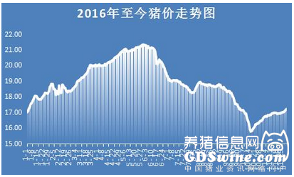 12月第一天豬價(jià)突破8.5！