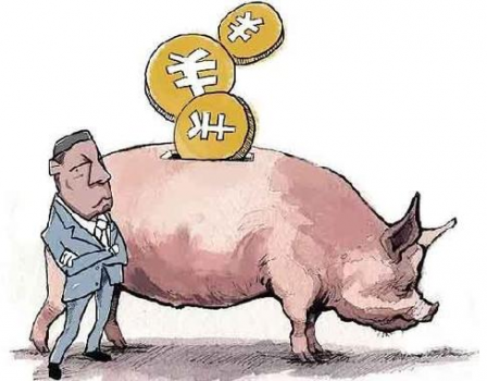 都是養(yǎng)豬，別人賺錢你虧本，多半因為你做錯了四件事