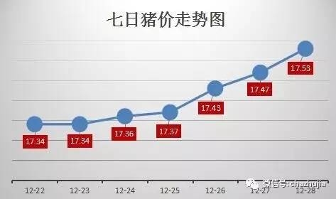 東北反彈 豬價持續(xù)上漲 金豬年即將畫上圓滿句號
