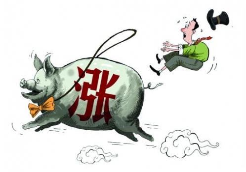 年前豬價何去何從？利空和利好因素將會有哪些變化？