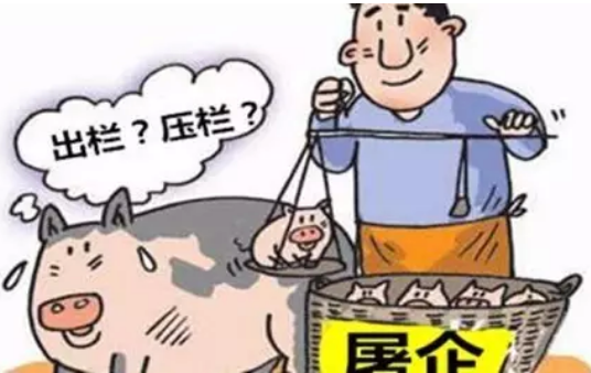 豬價(jià)暴漲暴跌，環(huán)保風(fēng)暴侵襲，如何養(yǎng)豬才能賺大錢？