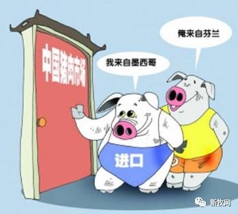 2016年進口豬肉數(shù)量同比增長108.4%??！進口豬肉均價6.5元/斤低于國內生豬價