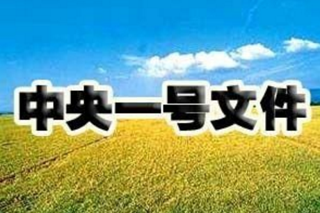 “一號文件”解讀，這6個(gè)和養(yǎng)豬人息息相關(guān)的點(diǎn)一定要知道