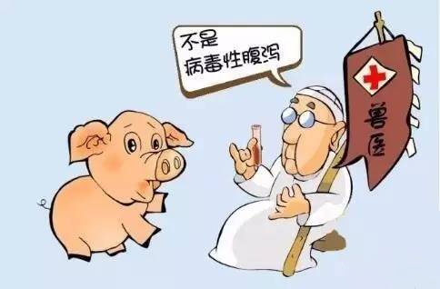 養(yǎng)豬對癥治療與對因治療有哪些不同？？？