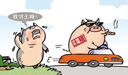 農村散養(yǎng)戶還沒意識到的危險：養(yǎng)豬人還不進來看看？