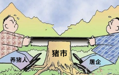 養(yǎng)殖戶挺價意愿減弱，屠企占得上風(fēng)，豬價再次緩慢下行