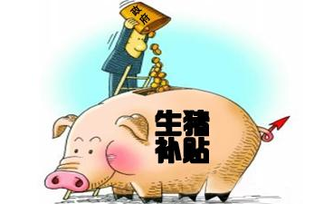 2017養(yǎng)豬新優(yōu)惠政策：最高補貼80萬