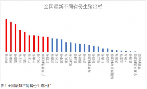 全國最新養(yǎng)豬排行榜！你的家鄉(xiāng)排第幾？