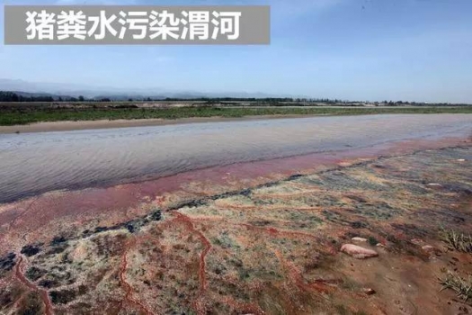 “十三五”規(guī)劃惠民政策來了！養(yǎng)殖戶可領(lǐng)補貼!