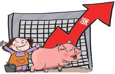 猛！2月仔豬價(jià)格同比漲21.8%